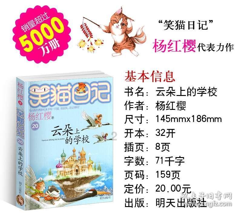 美丽的夜晚