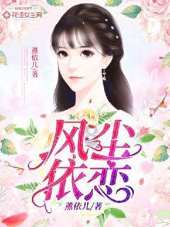 可爱的小考拉